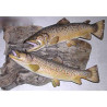 Animaux-Bois-Animaux-Bronzes propose Trophée poisson d'eau douce  Truite fario femelle -TR16