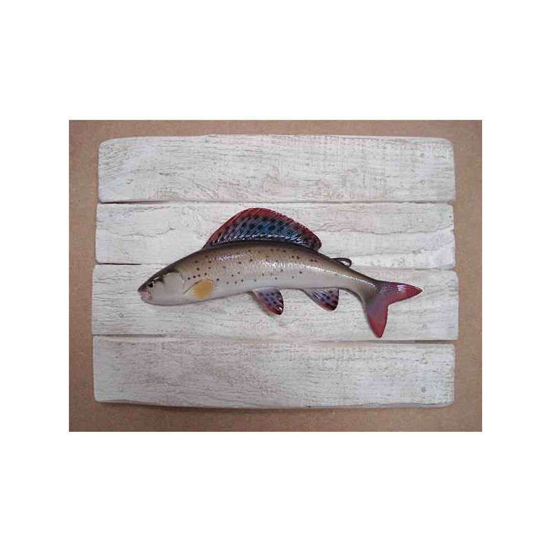 Animaux-Bois-Animaux-Bronzes propose Décors poisson d'eau douce Ombre commun -CADR16
