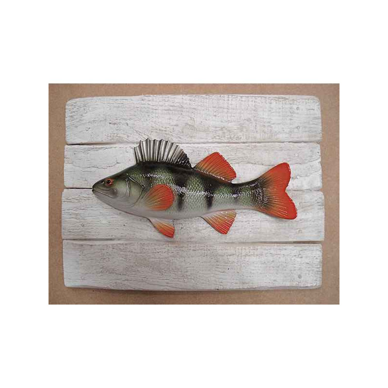 Animaux-Bois-Animaux-Bronzes propose Décors poisson d'eau douce Perche -CADR17