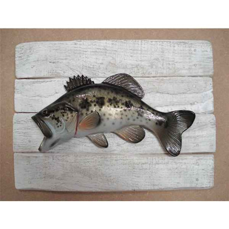 Cadre poisson d'eau douce Cap Vert Black bass  -CADR11