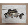 Animaux-Bois-Animaux-Bronzes propose Décors poisson d'eau douce Black bass -CADR11