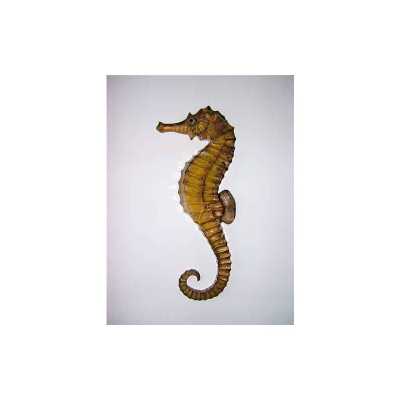 Animaux marins Grande sculpture relief Hippocampe -GSR004
