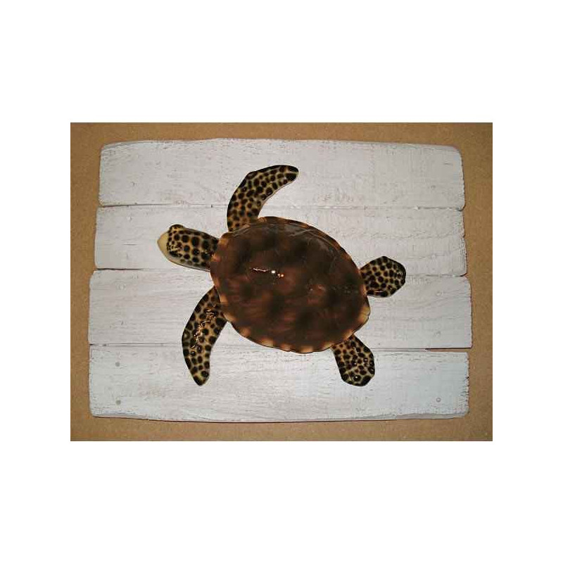 Animaux-Bois-Animaux-Bronzes propose Décors mammifère marin Tortue -CADR30