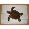 Animaux-Bois-Animaux-Bronzes propose Décors mammifère marin Tortue -CADR30