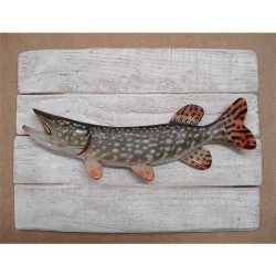 Animaux-Bois-Animaux-Bronzes propose Décors poisson d'eau douce Brochet -CADR12