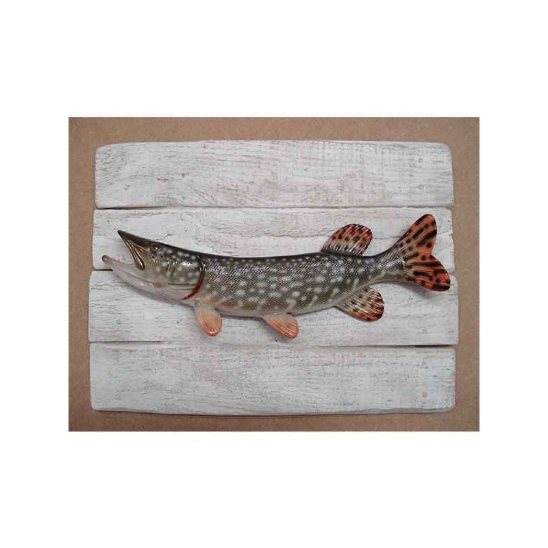 Animaux-Bois-Animaux-Bronzes propose Décors poisson d'eau douce Brochet -CADR12