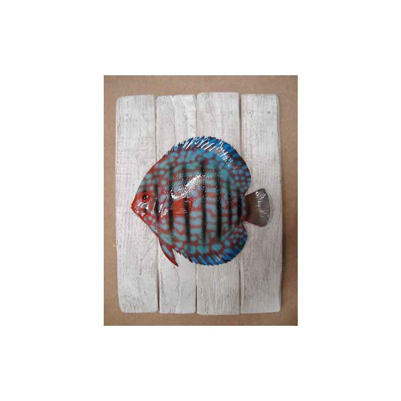 Animaux-Bois-Animaux-Bronzes propose Décors poisson d'eau douce Discus -CADR15