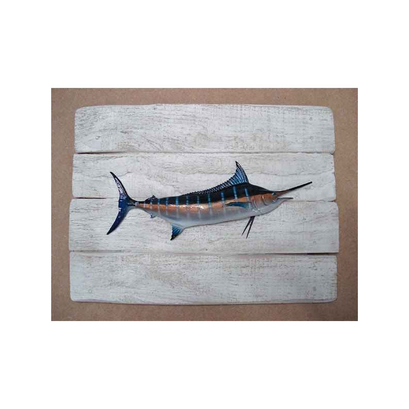 Cadre poisson des tropiques Cap Vert Marlin bleu  -CADR37
