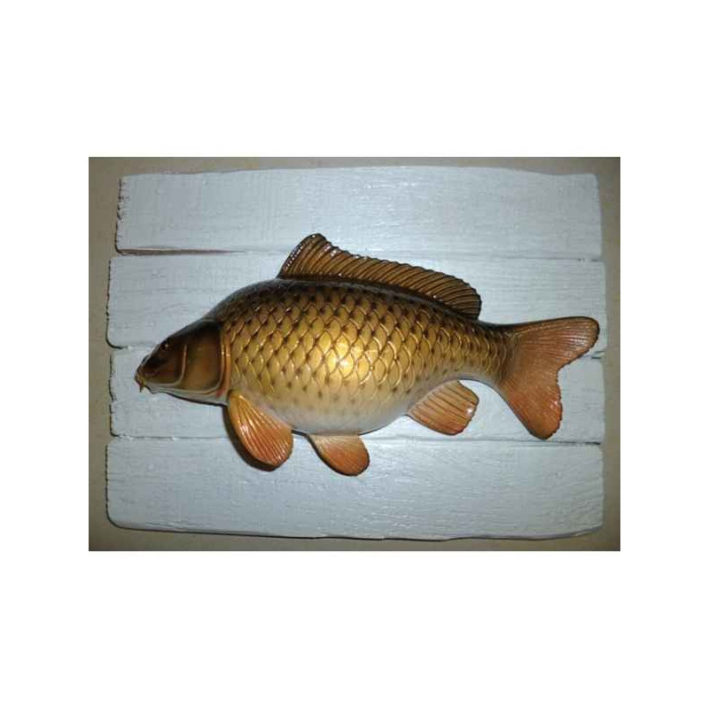 Animaux-Bois-Animaux-Bronzes propose Décors poisson d'eau douce Carpe commune -CADR13