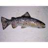Animaux-Bois-Animaux-Bronzes propose Poisson Truite fario sculpture murale -MSR010
