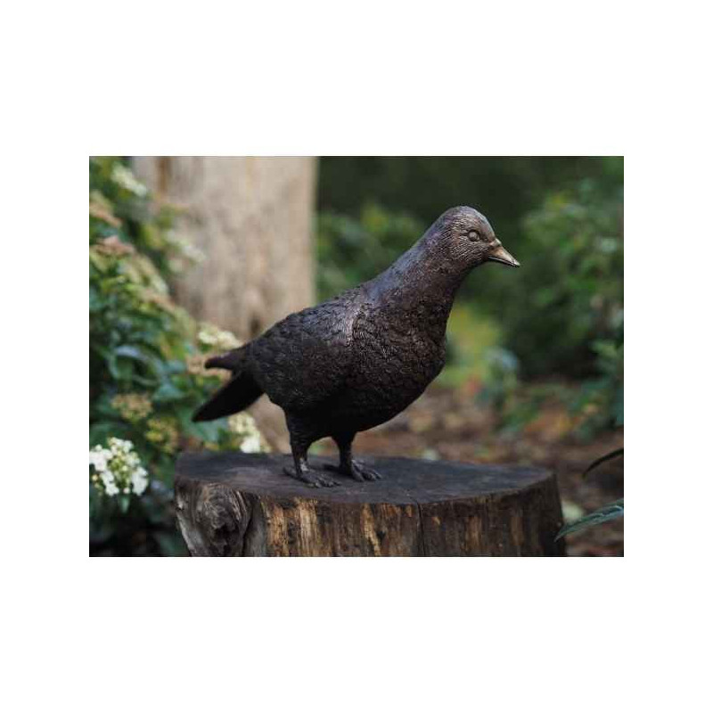 Statue en bronze colombe thermobrass -an1288br-b-1