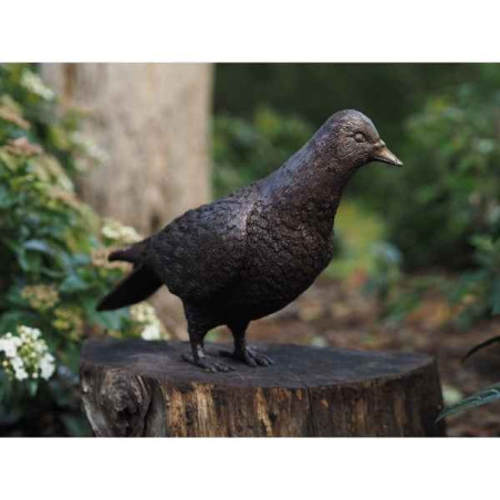 Statue en bronze colombe thermobrass -an1288br-b-1