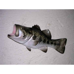 Animaux-Bois-Animaux-Bronzes propose Poisson Black bass sculpture murale -MSR002