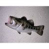Animaux-Bois-Animaux-Bronzes propose Poisson Black bass sculpture murale -MSR002