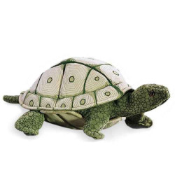 Animaux de la forêt Tortue écaillée 