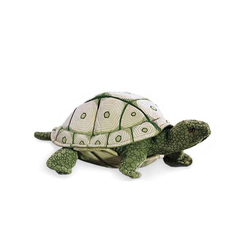 Animaux de la forêt Tortue écaillée 