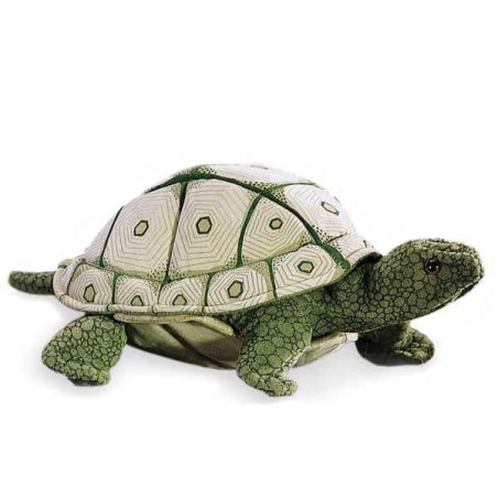Animaux de la forêt Tortue écaillée 
