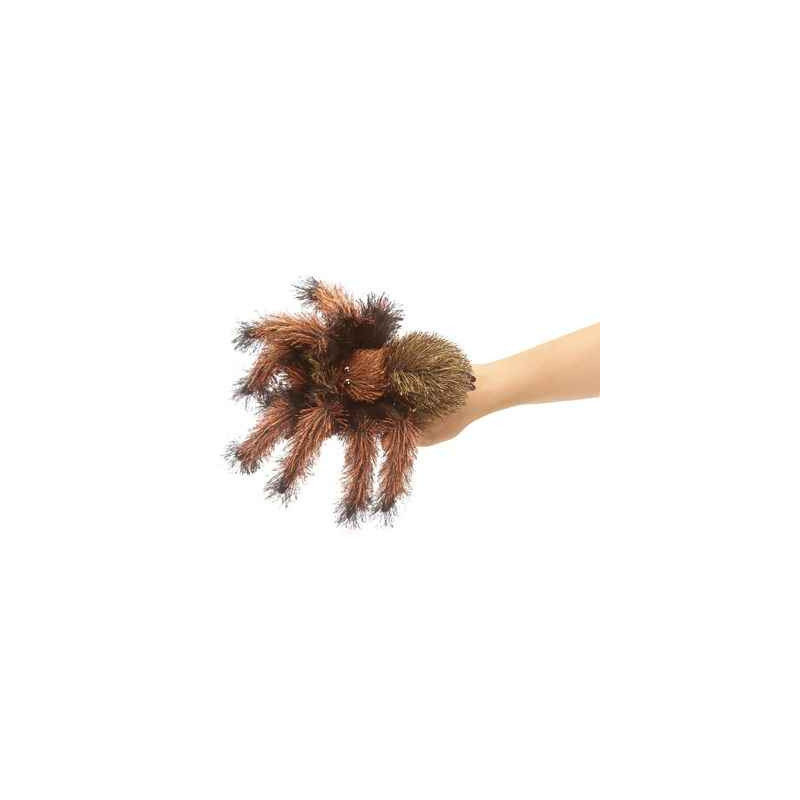 Animaux de la forêt Petite tarantule 