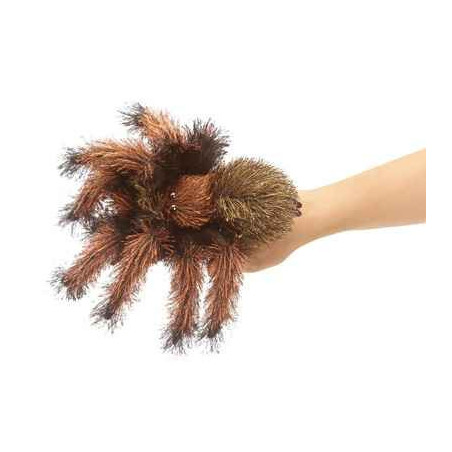 Animaux de la forêt Petite tarantule 