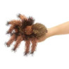 Animaux de la forêt Petite tarantule 