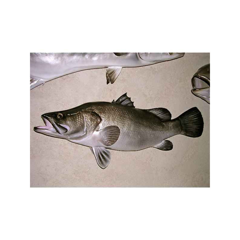 Animaux-Bois-Animaux-Bronzes propose Trophée poisson d'eau douce tropicale  Perche du Nil -TRDF20