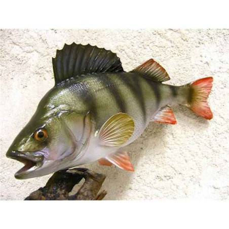 Animaux-Bois-Animaux-Bronzes propose Trophée poisson d'eau douce  Perche -TRDF08