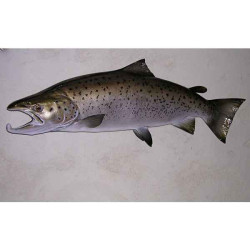 Animaux-Bois-Animaux-Bronzes propose Trophée poisson d'eau douce  Truite de mer -TRDF13