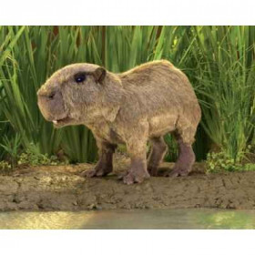 Marionnette capybara Folkmanis -3098