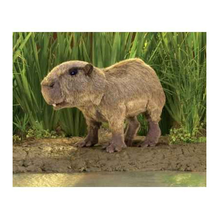 Marionnette capybara Folkmanis -3098