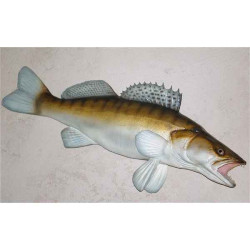 Animaux-Bois-Animaux-Bronzes propose Trophée poisson d'eau douce  Sandre -TRDF09