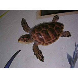 Animaux-Bois-Animaux-Bronzes propose Trophée mammifère marin  Tortue carette -TR032