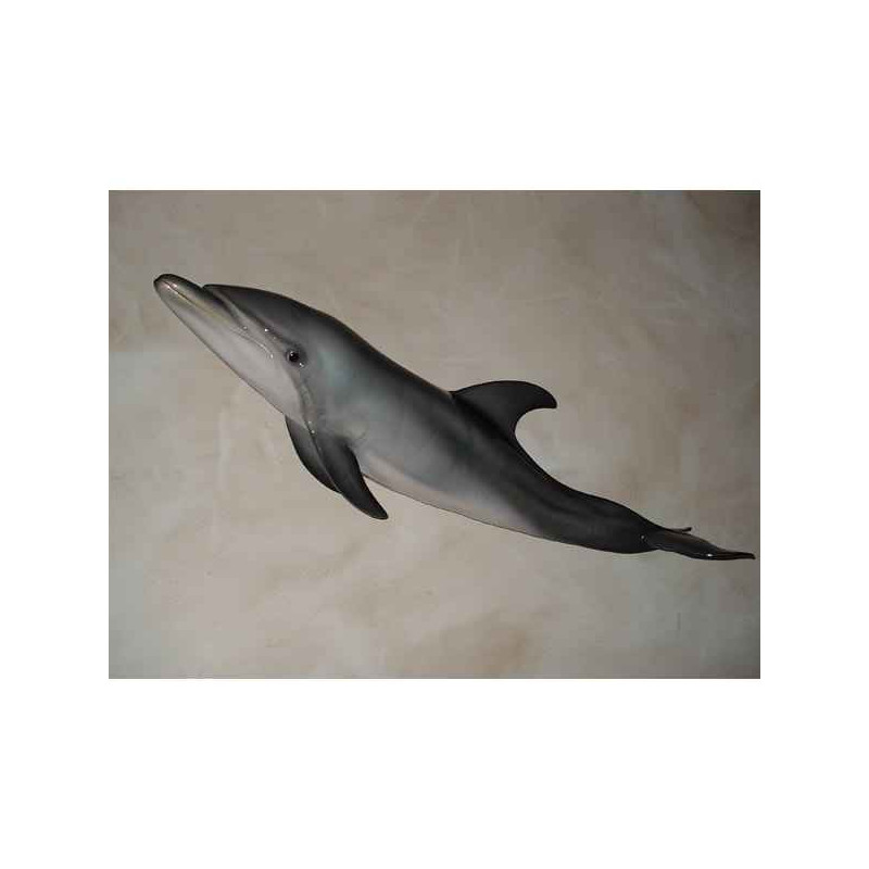 Animaux-Bois-Animaux-Bronzes propose Trophée mammifère marin  Grand dauphin -TR026
