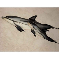 Animaux-Bois-Animaux-Bronzes propose Trophée mammifère marin  Dauphin bleu et blanc -TR024
