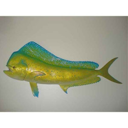 Animaux-Bois-Animaux-Bronzes propose Trophée poisson des mers tropicales  Coryphène -TR053