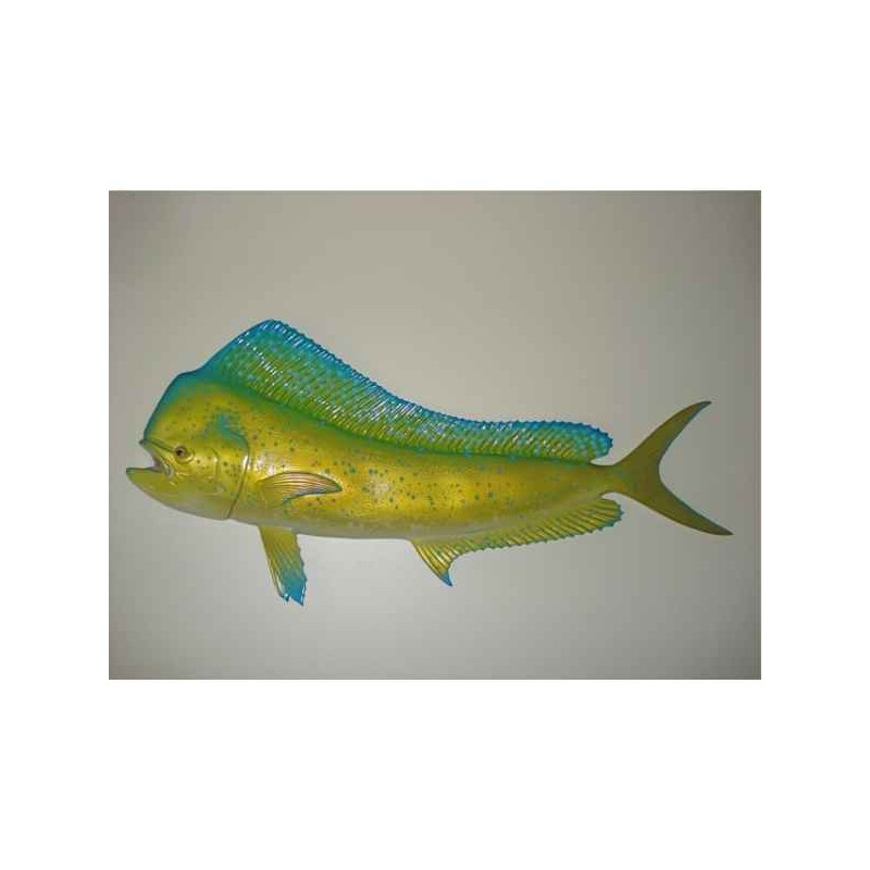 Animaux-Bois-Animaux-Bronzes propose Trophée poisson des mers tropicales  Coryphène -TR053