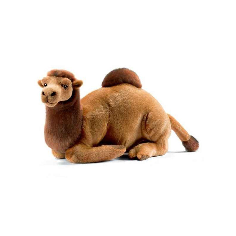 Animaux du désert Dromadaire couché 35cml peluche animalière -20899