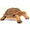Animaux de la forêt Tortue galapagos 70cmh/145cml peluche animalière -6469