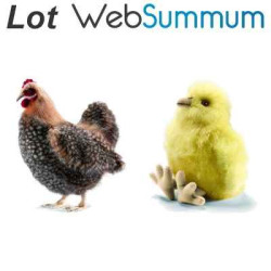 Décoration OiseauxEnsemble Poule 4588 et ses 2 poussins peluche animalière -LWS-243 Anima