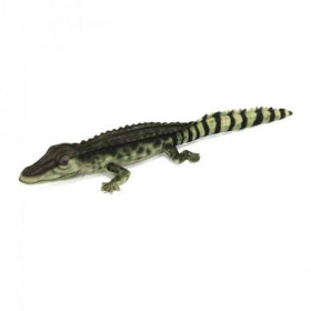 Crocodile des philippines 8cmh/72cml Anima  -6572