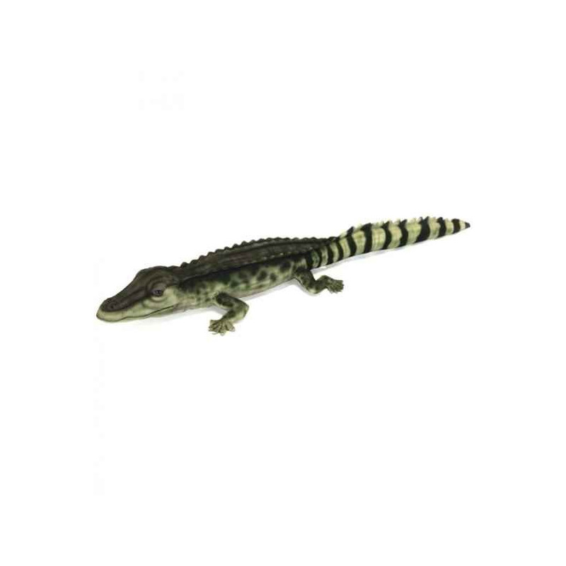 Crocodile des philippines 8cmh/72cml Anima  -6572