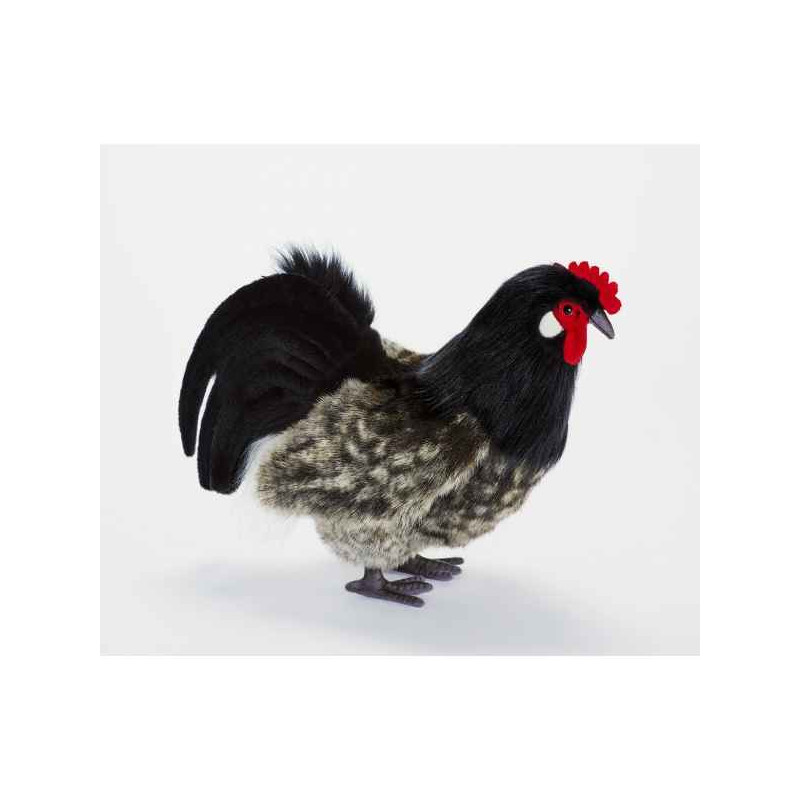 Décoration OiseauxPoule noire 34cml peluche animalière -6037 Anima