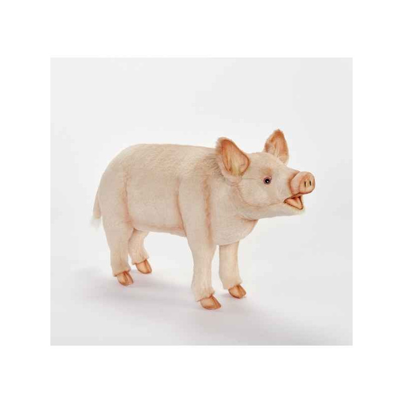 Animaux de la ferme Cochon 40cmh/63cml peluche animalière -6347