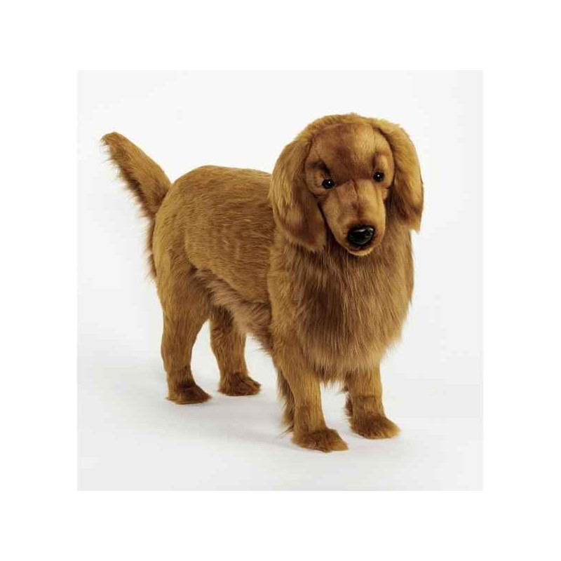 Golden retriever stool 100cml Anima  -6346