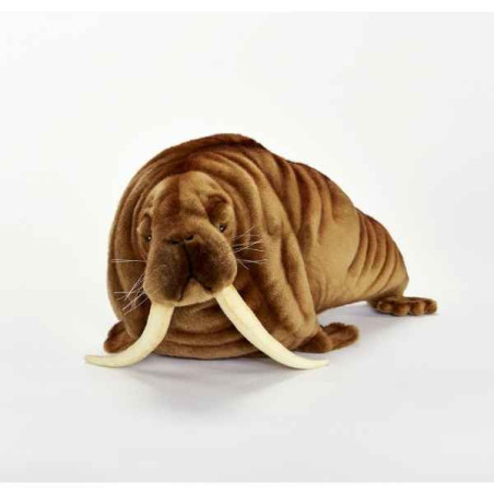 Animaux marins Morse 22cmh/48cml peluche animalière -5331
