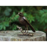 Sculpture oiseau sur branche en bronze thermobrass -ga0388br-b