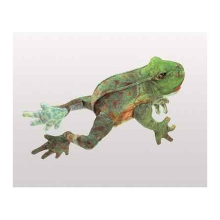 Marionnette grenouille sautant Folkmanis -3082