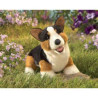 Marionnette chien corgi Folkmanis -3089