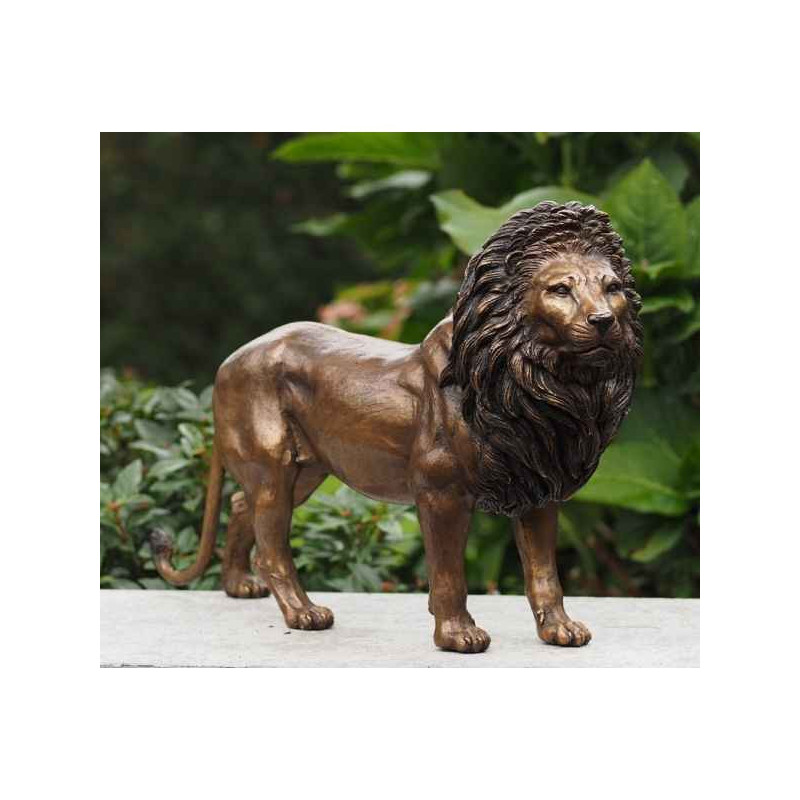Lion Thermobrass -AN0600BR-B
