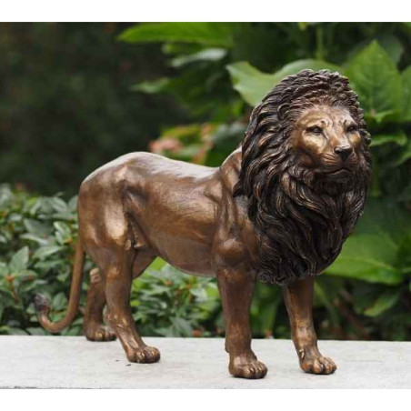 Lion Thermobrass -AN0600BR-B