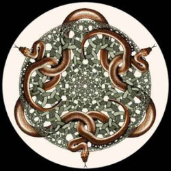 Presse papier escher 3dMouseion -PESC3